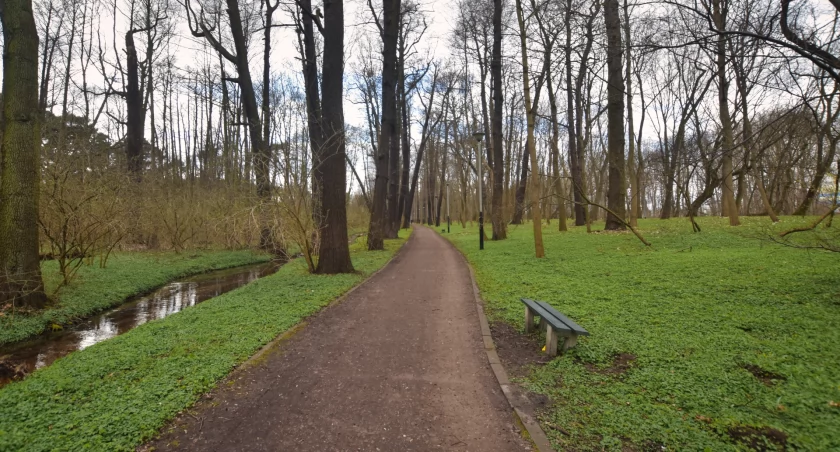 Park nad Starym Kanłem