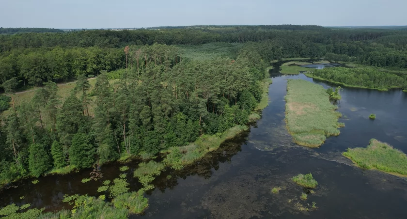 Przyroda Kujawsko-Pomorskie. Jezioro Bachotek.