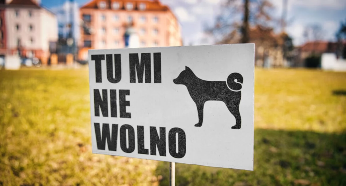 fot. Biuro Komunikacji Społecznej Miasta Bydgoszcz