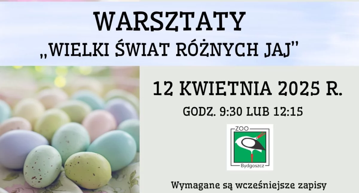 Grafika Zoo Bydgoszcz
