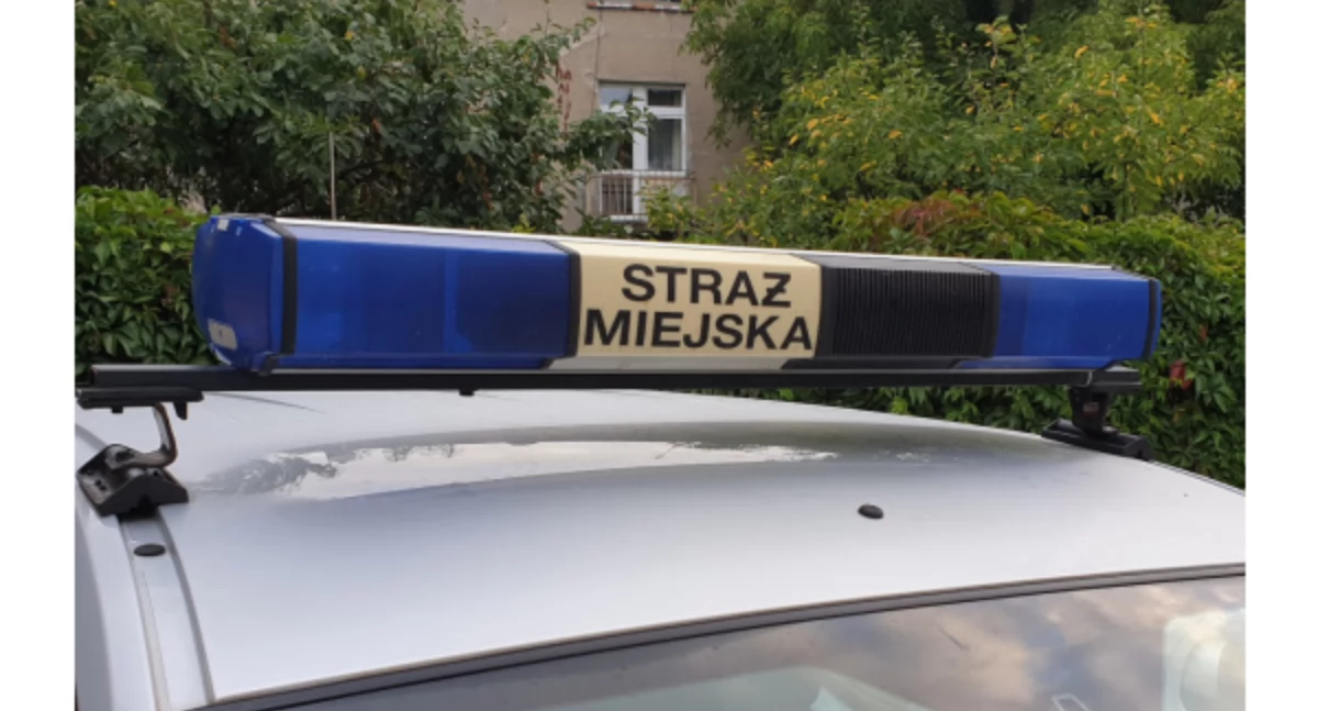 fot. Straż Miejska w Bydgoszczy