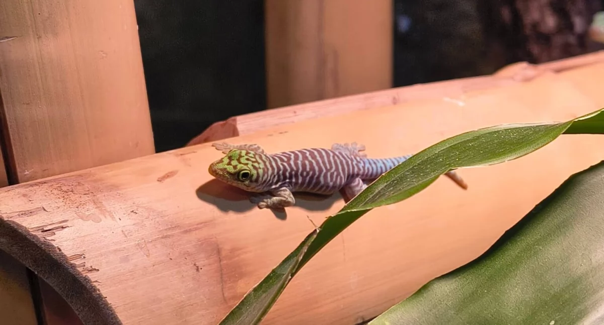 fot. Zoo Bydgoszcz