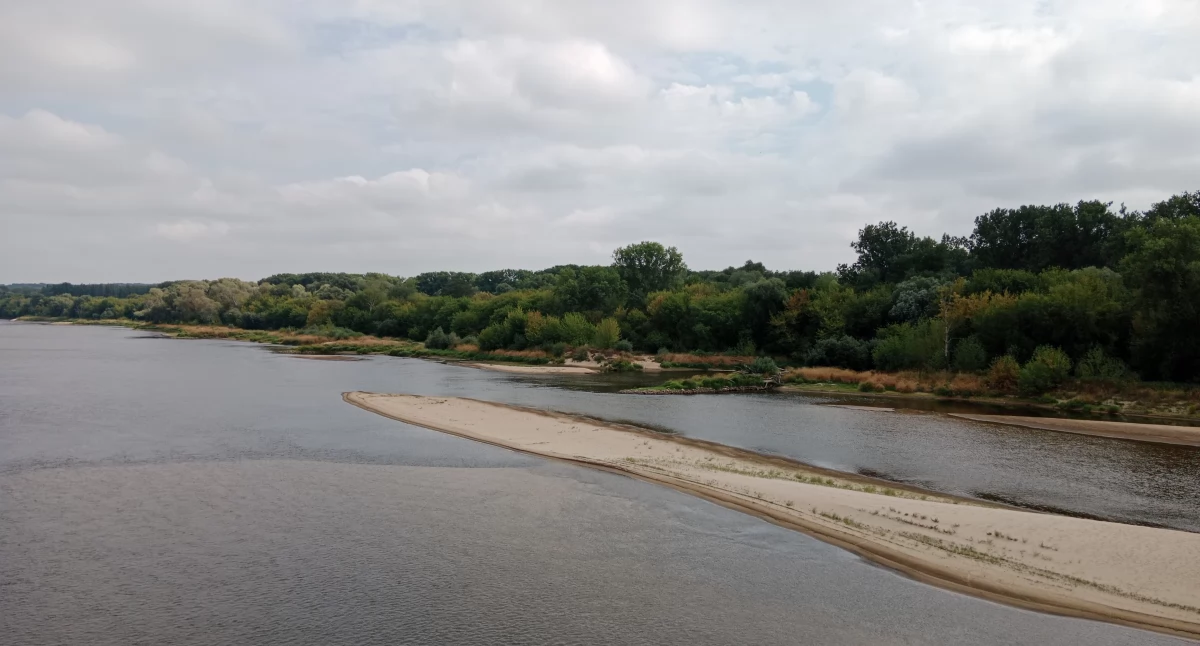 Widok na Wisłę z mostu w Fordonie