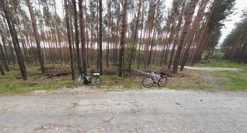 Rzędy rowerów zaparkowane na leśnej ścieżce łączącej Fordon z Myślęcinkiem – spokojna, zielona trasa popularna wśród bydgoskich rowerzystów.