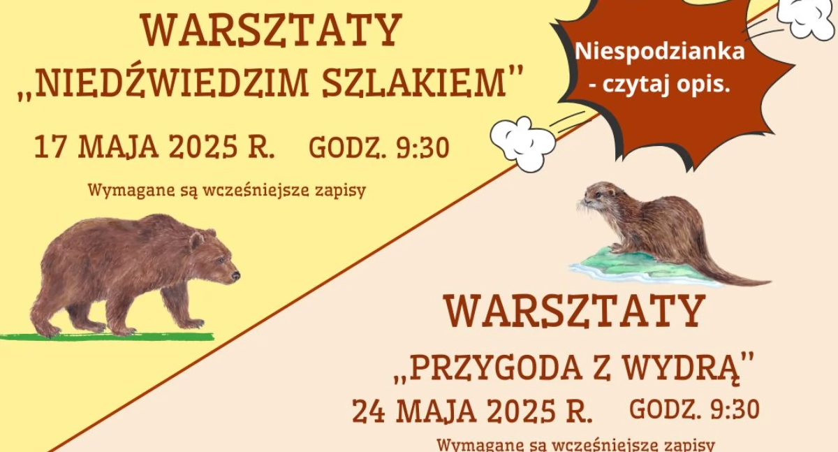 Grafika Zoo Bydgoszcz
