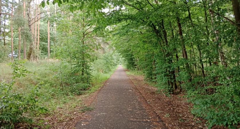 Leśna ścieżka rowerowa