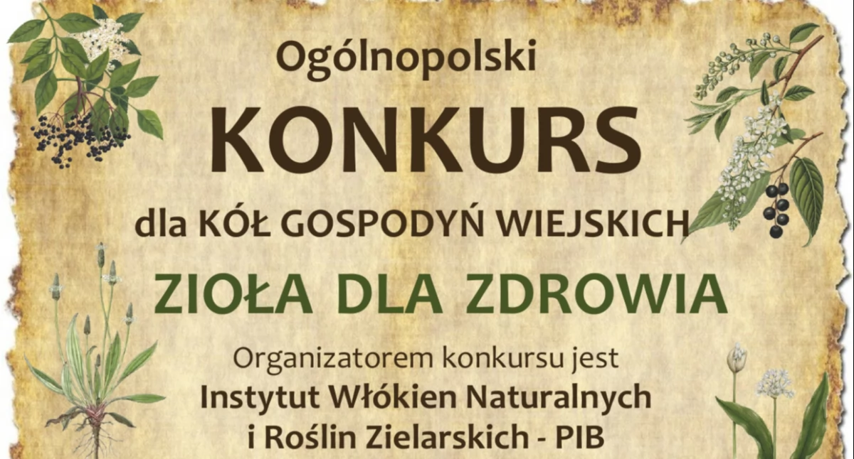 Grafika organizatora