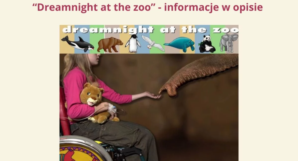 Grafika Zoo Bydgoszcz