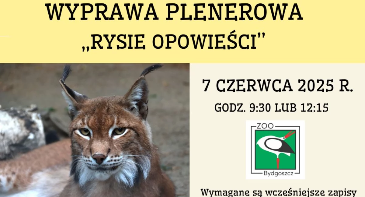 Grafika Zoo Bydgoszcz