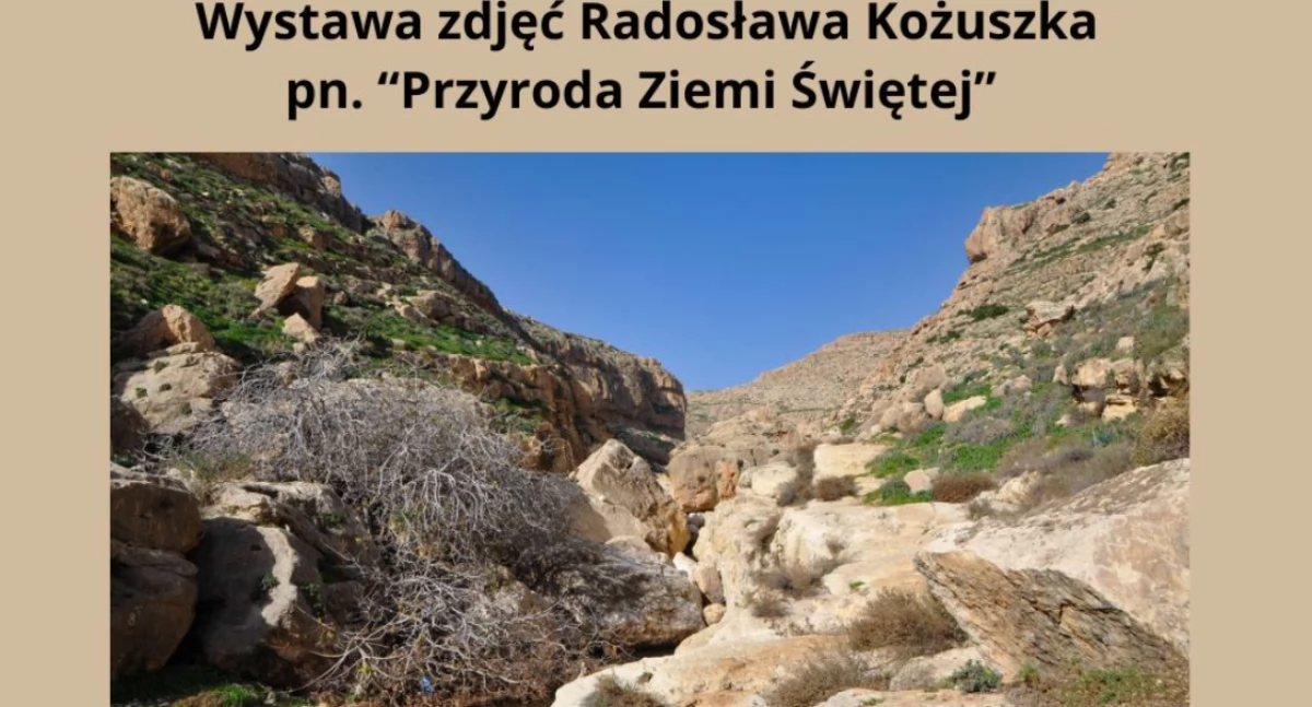 fot. Zoo Bydgoszcz