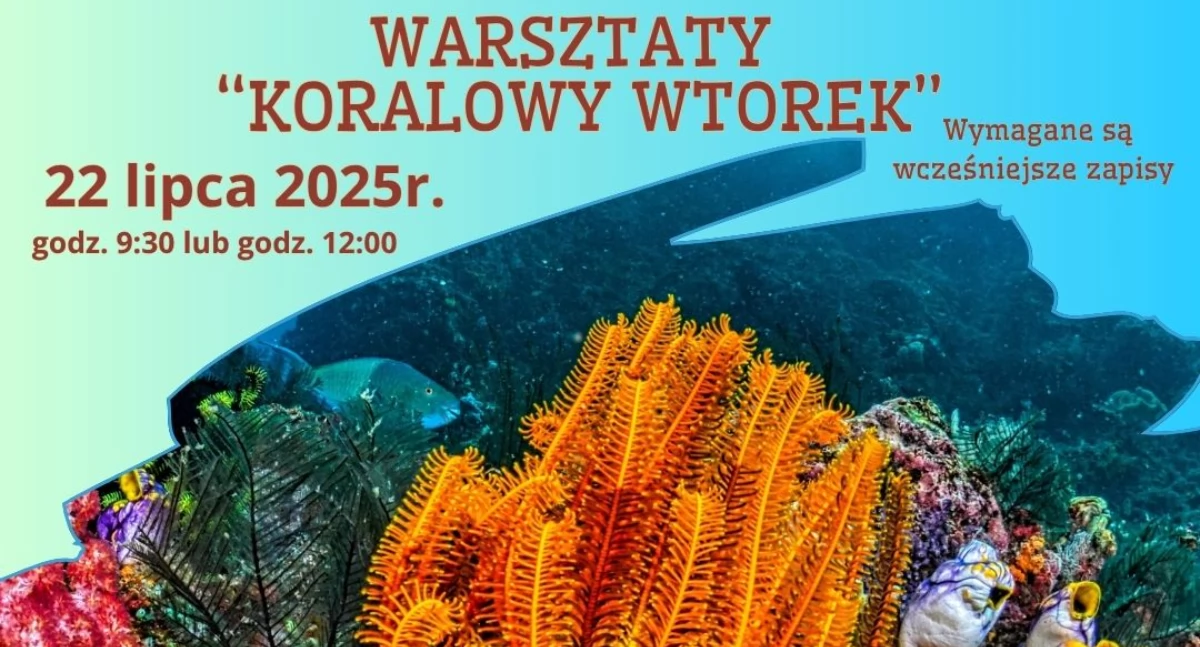 Grafika Zoo Bydgoszcz