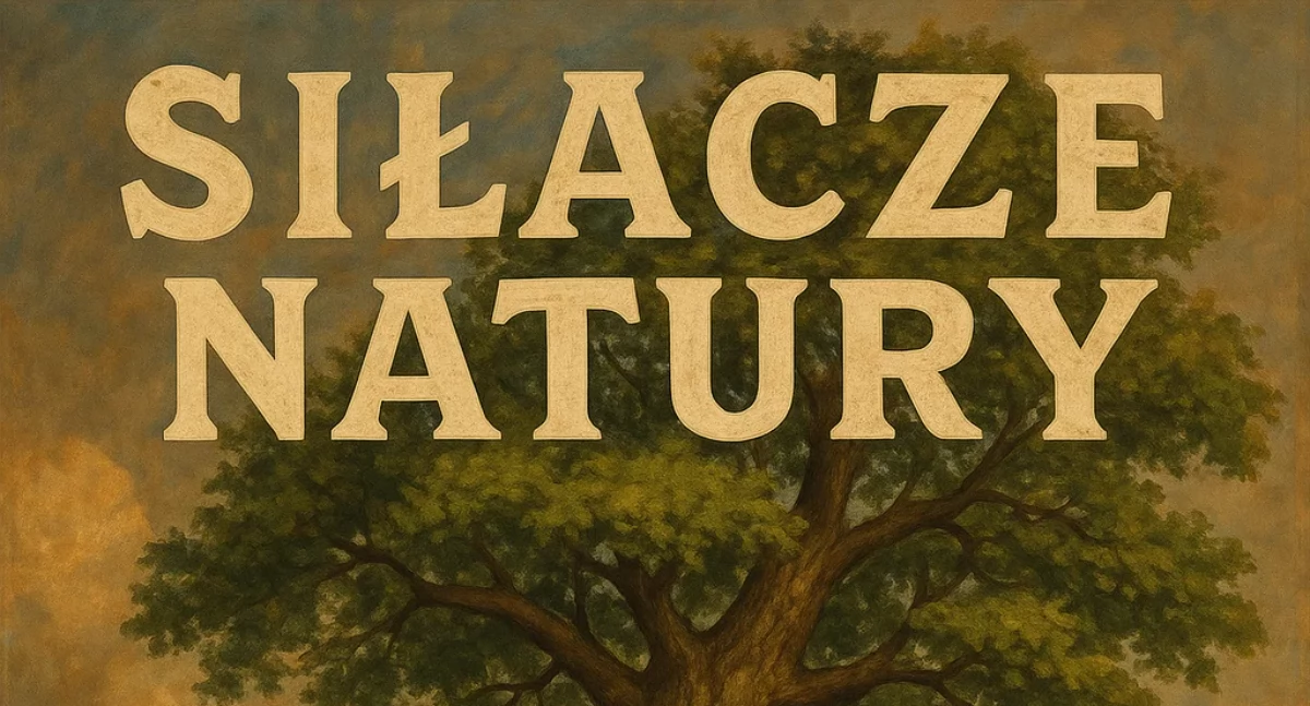 Grafika ilustracyjna