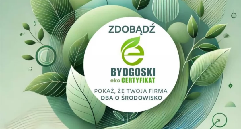 Grafika Czysta Bydgoszcz