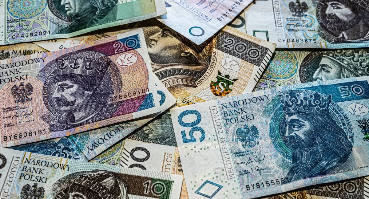 Zdjęcie ilustracyjne: zbliżenie na różne polskie banknoty złotowe. MFiPR: Co dzięki KPO zmieniło się w Polsce? Wzmocniliśmy konkurencyjność polskich firm (komunikat). Fot. SHOX ART / Pexels