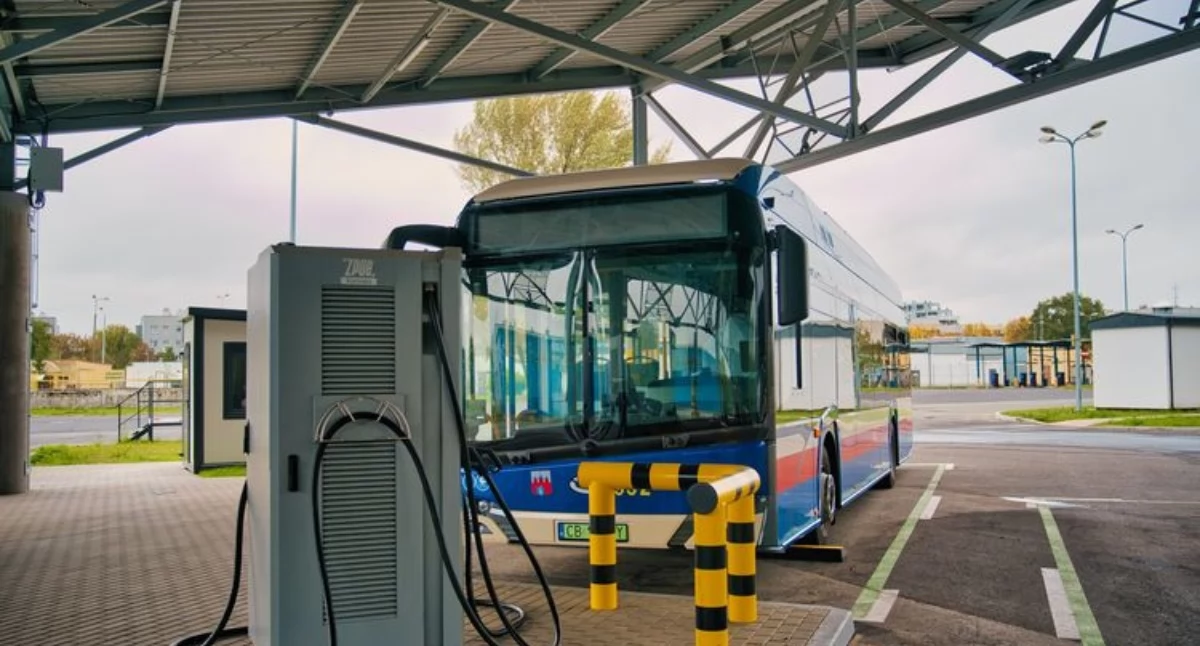 Źródło zdjęcia: Urząd Miasta Bydgoszczy (bydgoszcz.pl)