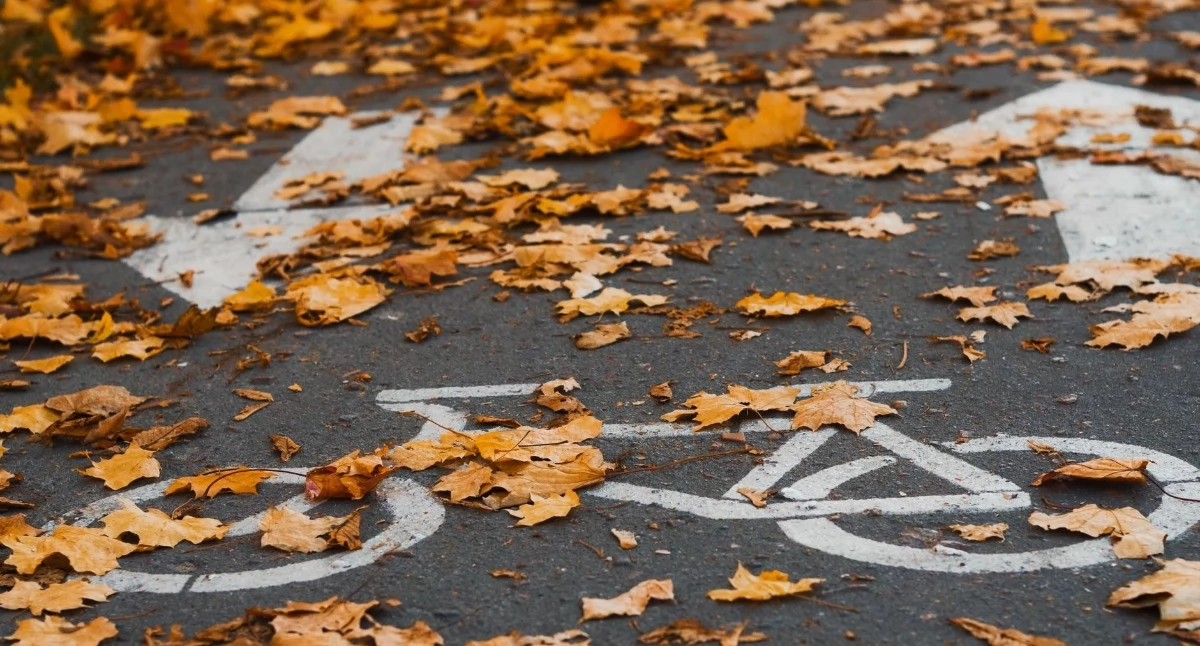 Zdjęcie ilustracyjne: Nowa rowerowa droga na osiedlu Zimne Wody-Czersko Polskie. Fot. Галина Ласаева / Pexels