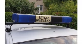 Zwykły patrol, niezwykła reakcja. Co wydarzyło przy Piotrowskiego w Bydgoszczy?