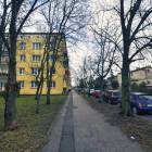Fotka nr 2 z 20