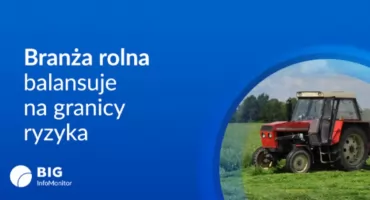 Województwo kujawsko-pomorskie: producenci warzyw skutecznie ograniczają zadłużenie mimo strat
