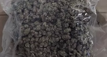 Zatrzymanie za narkotyki w Bydgoszczy. Audi i kilogram marihuany
