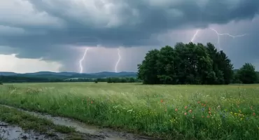 Prognoza na dziś Bydgoszcz: deszcz, w południe burza, wieczór jaśniejszy