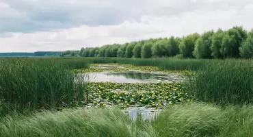 Prognoza pogody na dziś: Bydgoszcz sucho, 22°C i chmury