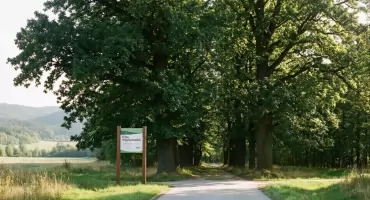 Rezerwat „Dęby Węgrzynowskie” otwarty: 11,87 ha lasu