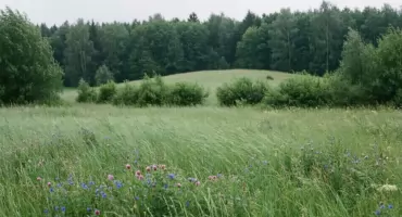 Pogoda na dziś w Bydgoszczy: ciepło, sporo chmur, bez deszczu