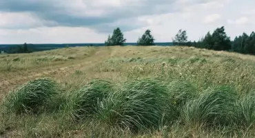 Pogoda na dziś: Bydgoszcz bez deszczu, wiatr i słońce wieczorem