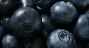 Leśne owoce? WSSE w Bydgoszczy: myj je, grozi bąblowica