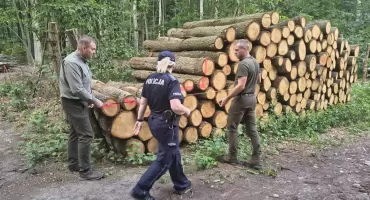 Patrol policji i leśników w Leśnictwie Osięciny