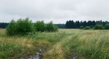 Pogoda na dziś — Bydgoszcz: ciepło, chmury i podmuchy