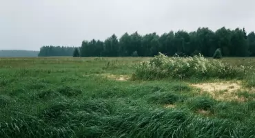 Pogoda na dziś, Bydgoszcz: chmury, przelotny deszcz i porywy