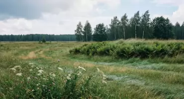 Pogoda na dziś: słońce i porywy wiatru w Bydgoszczy