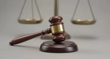 Trzy szczenięta zabite pod Gniewkowem. Zarzuty dla 42‑latka