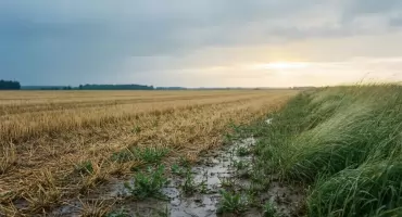 Pogoda dziś w Bydgoszczy: dużo słońca, wieczorem chmury