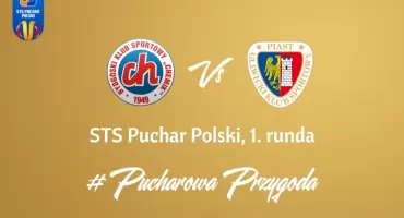 Chemik sprzedaje cegiełki na Piasta: 30 zł, 1.09 o 16:00