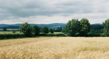 Prognoza na dziś: ciepło i pochmurno w Bydgoszczy