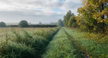 Prognoza pogody na dziś: pochmurnie i sucho w Bydgoszczy