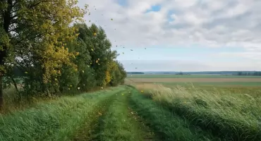 Prognoza na dziś: lato wraca do Bydgoszczy, bez deszczu