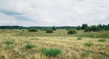 Pogoda na dziś: pochmurna Bydgoszcz, sucho cały dzień