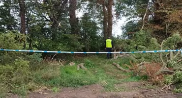 Wypadek przy wycince drzewa w gminie Osięciny. Nie żyje 34-latek