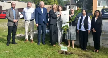 Lipa pamięci „Wujka” rośnie przy VIII LO w Bydgoszczy