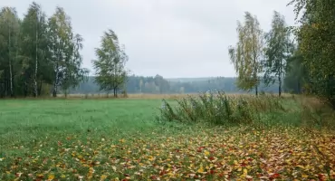 Prognoza na dziś: pogoda w Bydgoszczy z przejaśnieniami