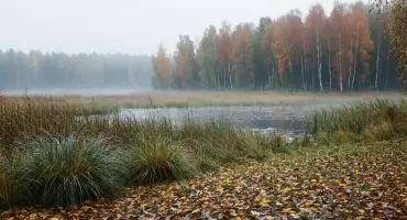 Prognoza na dziś: pochmurna Bydgoszcz i przelotny deszcz