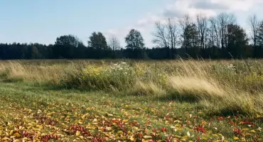 Prognoza na dziś: słońce i 22°C w Bydgoszczy