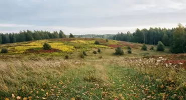 Pogoda na dziś: sucho, chmury i do 21°C w Bydgoszczy