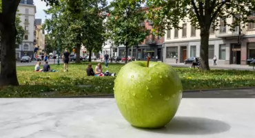 Indeks Zdrowych Miast: Bydgoszcz z awansem o 23 miejsca