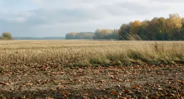 Pogoda na dziś: ciepły, pochmurny wtorek w Bydgoszczy