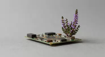 Wrzosy za elektroodpady – zbiórka na Siernieczku 17 października